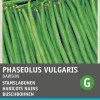 Intratuin Buschbohne (Phaseolus vulgaris 'Sonate') Samen