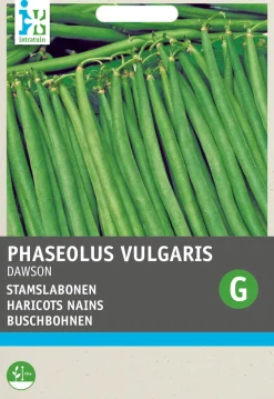 Intratuin Buschbohne (Phaseolus vulgaris 'Sonate') Samen