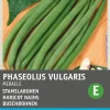 Intratuin Buschbohne (Phaseolus vulgaris 'Miracle') Samen