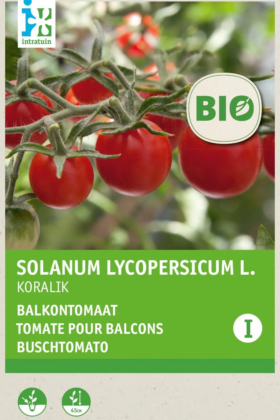 Intratuin Buschtomate (Solanum lycopersicum 'Koralik') (BIO) Samen