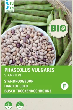 Intratuin Busch-Trockenbohne (Phaseolus vulgaris 'Stammkievit') (BIO) Samen