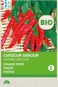 Intratuin Chili (Capsicum annuum 'De Cayenne') (BIO) Samen