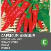 Intratuin Chili Cayenne (Capsicum Annuum 'De Cayenne') Samen
