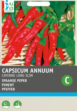 Intratuin Chili Cayenne (Capsicum Annuum 'De Cayenne') Samen