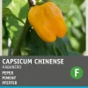 Intratuin Chili Habanero (Capsicum annuum 'Habanero Oranje') Samen
