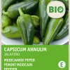 Intratuin Chili (Solanum jalapeno) (BIO) Samen