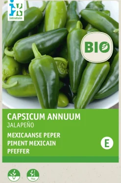 Intratuin Chili (Solanum jalapeno) (BIO) Samen