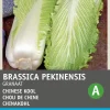 Intratuin Chinakohl (Brassica pekinensis 'Cantonner Witkrop') Samen