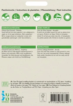 Intratuin Chinakohl (Brassica pekinensis 'Cantonner Witkrop') Samen