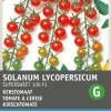 Intratuin Cocktailtomate (Solanum lycopersicum 'Supersweet 100 F1') Samen