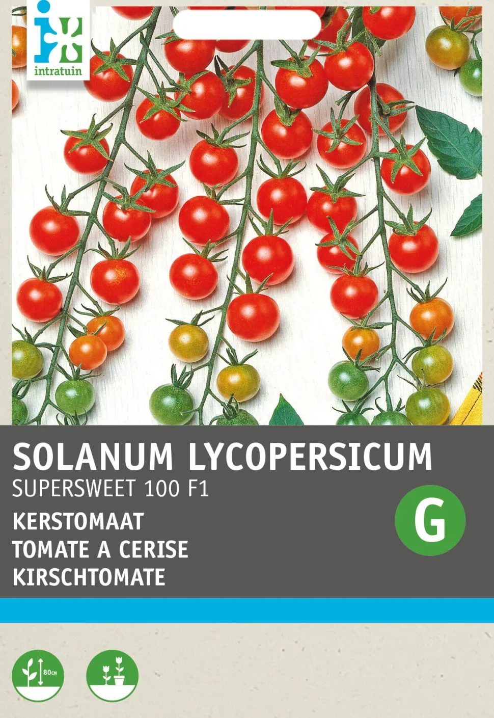 Intratuin Cocktailtomate (Solanum lycopersicum 'Supersweet 100 F1') Samen