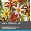 Intratuin Dahlie (Dahlia 'Windmolen' mix) 5 st
