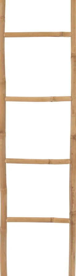 Intratuin Dekoleiter Bambus 50 x 170 cm