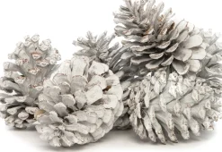 Intratuin Deko-Tannenzapfen groß weiß 200 g