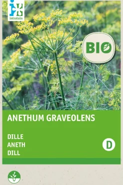 Intratuin Dill (Anethum graveolens) (BIO) Samen
