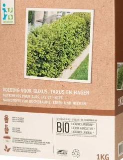 Intratuin Dünger für Buchsbäume und Eiben Bio 1 kg