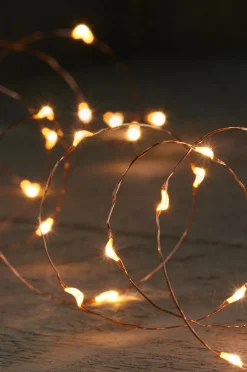 Intratuin Drahtlichterkette kupfer 5 m außen mit LEDs klassisch warm