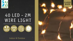 Intratuin Drahtlichterkette kupfer 2 m außen mit LEDs klassisch warm