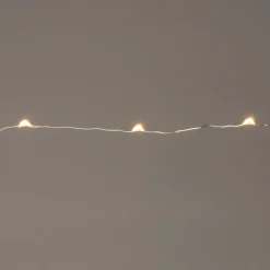 Intratuin Drahtlichterkette silber 2 m außen mit LED warmweiß