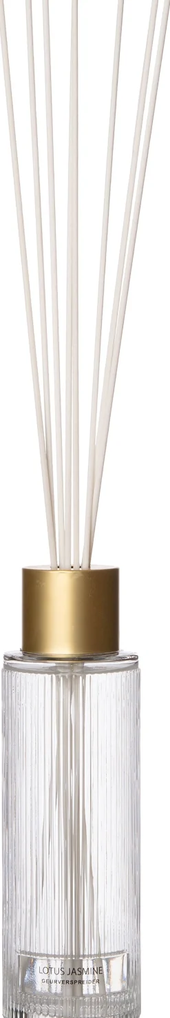 Intratuin Duftstäbchen May Vanilla Patchouli 430 ml