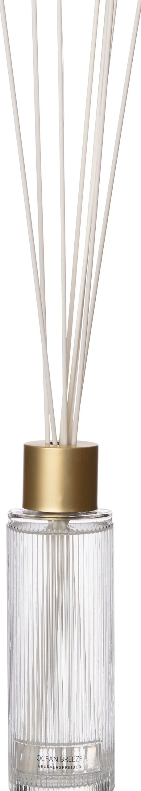 Intratuin Duftstäbchen May Ocean Breeze 430 ml