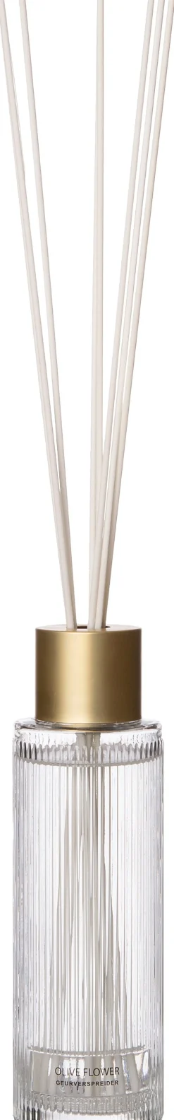 Intratuin Duftstäbchen May Olive Flower 430 ml