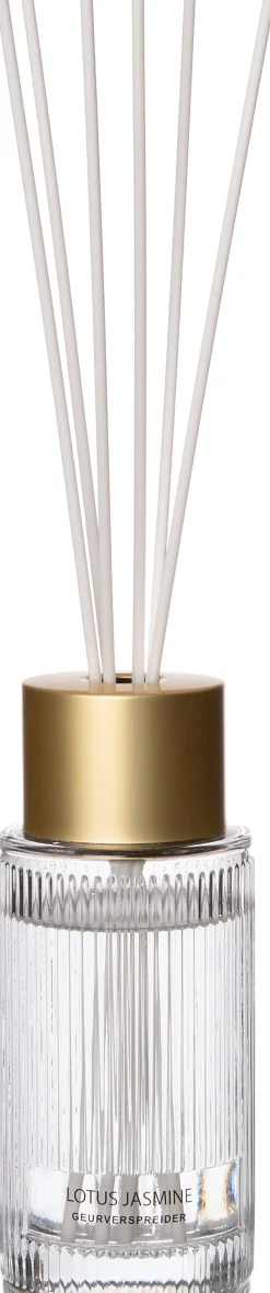 Intratuin Duftstäbchen May Vanilla Patchouli 200 ml