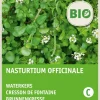 Intratuin Echte Brunnenkresse (Nasturtium officinale) (BIO) Kressesamen