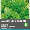 Intratuin Echte Brunnenkresse (Nasturtium officinale) Kressesamen