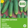 Intratuin Einlegegurke (Cucumis sativus 'Profi F1') (BIO) Samen