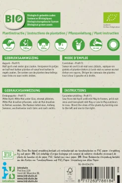 Intratuin Einlegegurke (Cucumis sativus 'Profi F1') (BIO) Samen