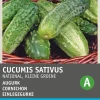 Intratuin Einlegegurke (Cucumis sativus 'National') Samen