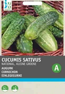 Intratuin Einlegegurke (Cucumis sativus 'National') Samen