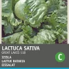 Intratuin Eisbergsalat (Lactuca sativa 'Great-Lakes 118') Samen