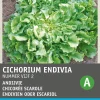 Intratuin Endivie (Cichorium endivia 'Bubikopf 2') Samen