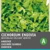 Intratuin Endivie (Cichorium endivia 'Escariol Grüner') Samen