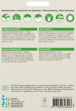 Intratuin Endivie (Cichorium endivia 'Escariol Grüner') Samen
