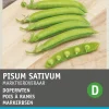 Intratuin Erbse (Pisum sativum 'Marktveroveraar') Samen