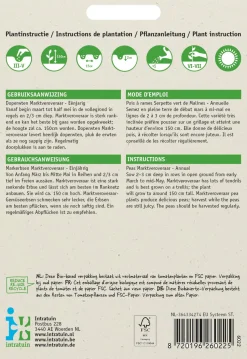 Intratuin Erbse (Pisum sativum 'Marktveroveraar') Samen