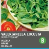Intratuin Feldsalat (Valerianella olitoiria 'Vollherzig') Samen