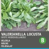Intratuin Feldsalat (Vallerianella locusta) Samen