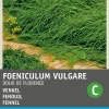 Intratuin Fenchel (Foeniculum vulgare 'Doux de Florence') Samen