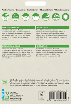 Intratuin Fenchel (Foeniculum vulgare 'Doux de Florence') Samen