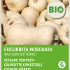 Intratuin Flaschenkürbis (Cucurbita maxima 'Waltham Butternut') (BIO) Samen