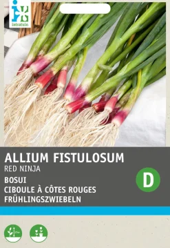Intratuin Frühlingszwiebeln rot (Allium fistulosum 'Red Ninja') Samen