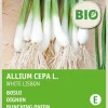 Intratuin Frühlingszwiebel (Allium cepa 'White Lisbon') (BIO) Samen