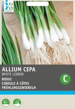 Intratuin Frühlingszwiebel (Allium cepa 'White Lisbon') Samen