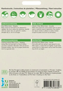 Intratuin Frühlingszwiebel (Allium cepa 'White Lisbon') Samen