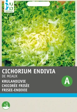 Intratuin Frisee-Endivie (Cichorium endivia 'De Meaux') Samen