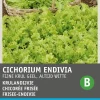 Intratuin Frisee-Endivie (Cichorium endivia 'Altijd Witte') Samen